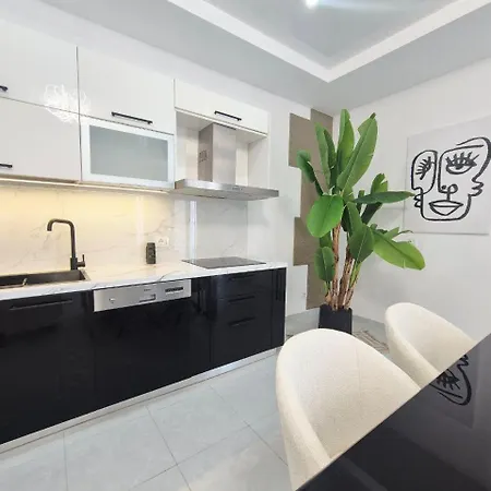 Lux Penthouse 公寓 *