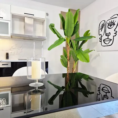 Lux Penthouse 公寓 *
